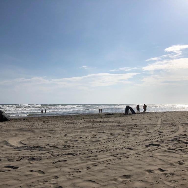 Renta de departamento en Acapulco Diamante - Apartamento de 2 dormitorios - 58