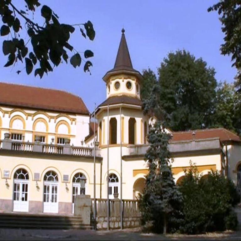 Apartments and rooms Villa Mačva - Banja Koviljača - Apartman - Prizemlje - 42