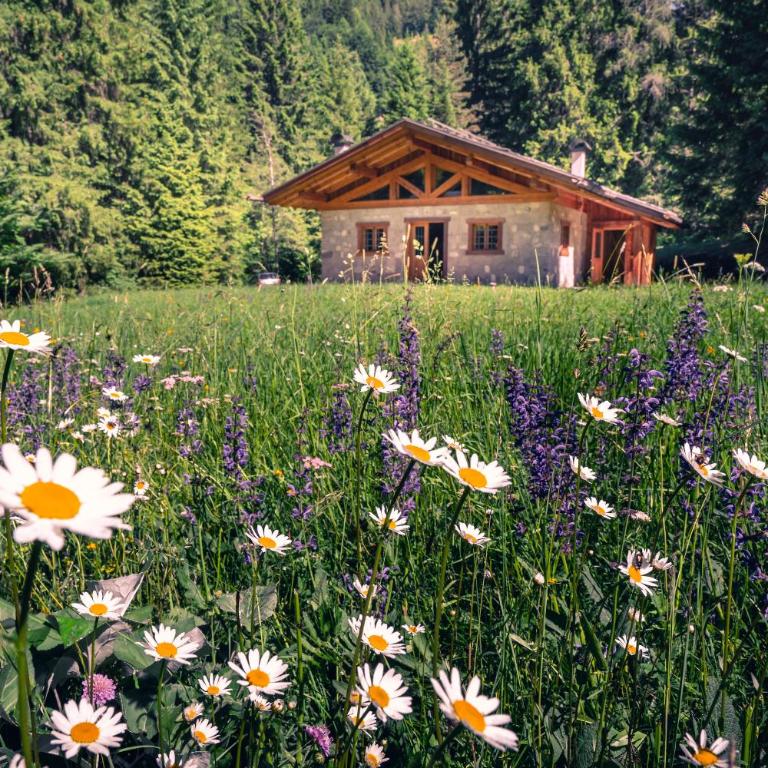 Baita Valon - Alpine Hideaway - Chalet - 31