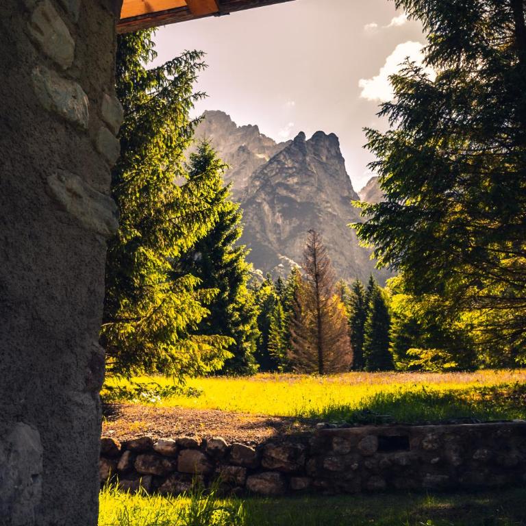 Baita Valon - Alpine Hideaway - Chalet - 50