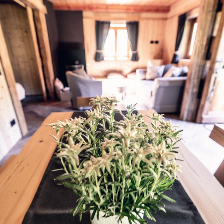 Baita Valon - Alpine Hideaway - Chalet - 41
