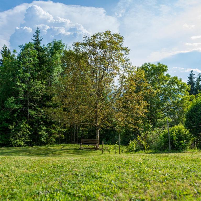 Gartenlodge Auszeit - Chalet mit 1 Schlafzimmer - 33