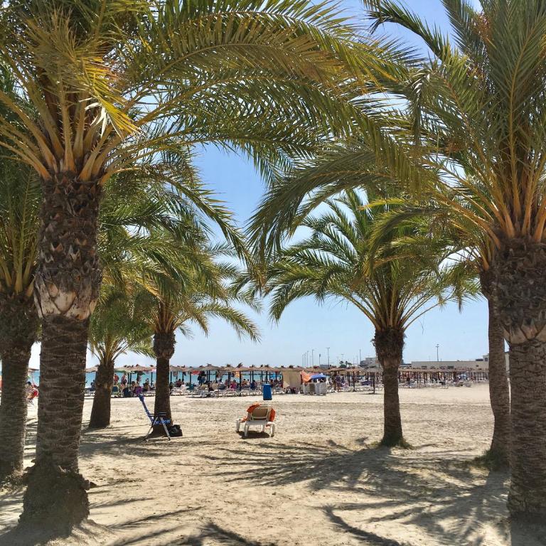 Ladrillo, apartment by the sea, Santa Pola - Apartamento de 2 dormitorios - 26