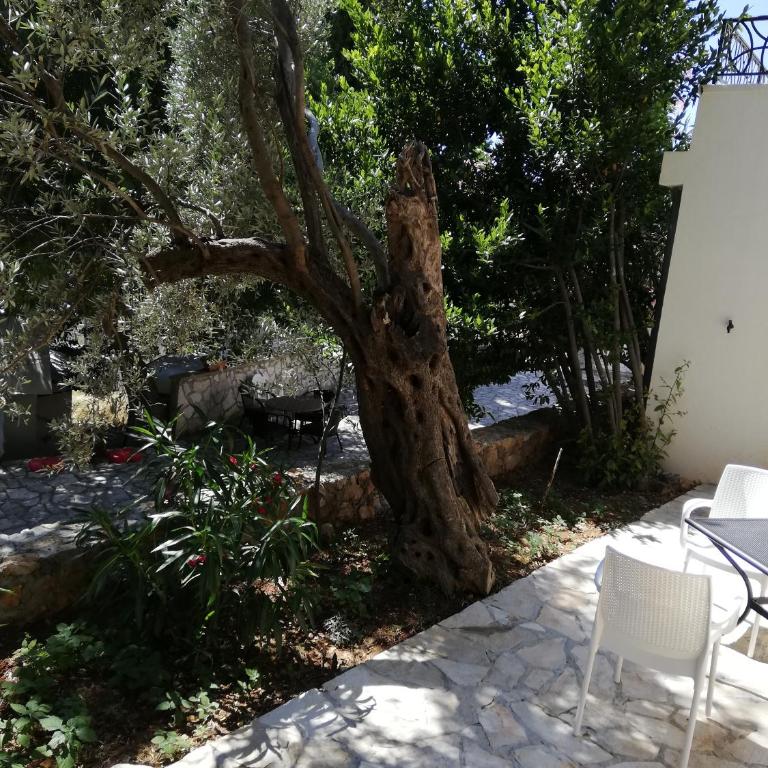 Dolores Apartments - One-Bedroom Apartment - 40
