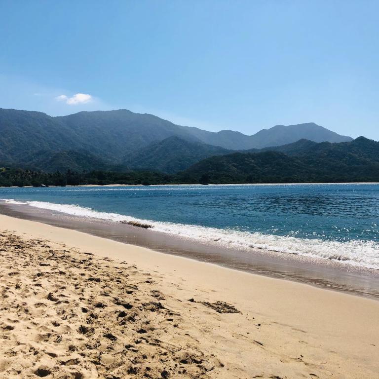 Apto a pasos de la playa y restaurantes - Apartamento de 2 dormitorios - 16