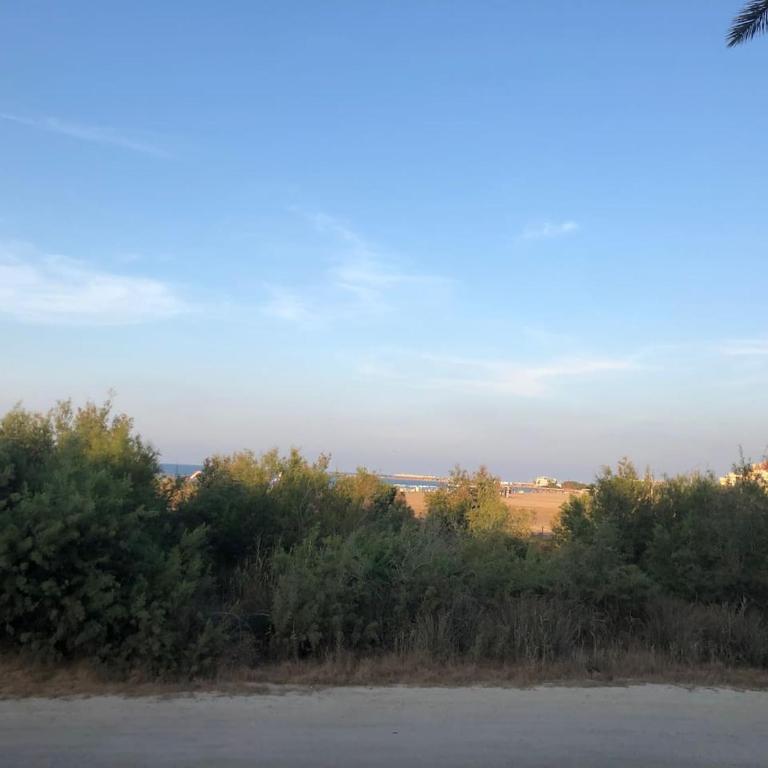 Apartamento en Dénia a pie de playa - Apartamento de 2 dormitorios - 12