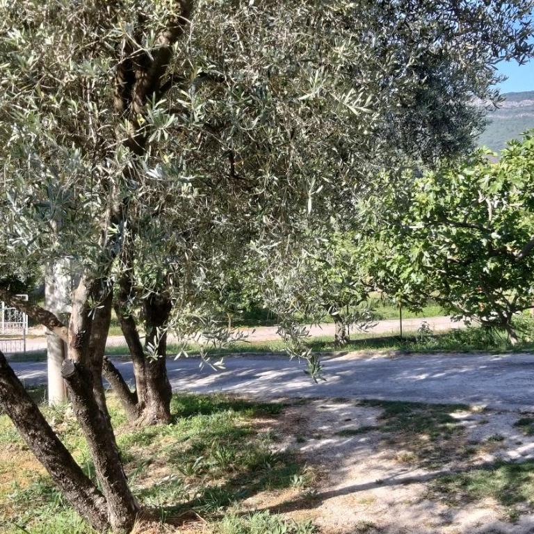 Petivat Gardens - Studio Apartman - 13