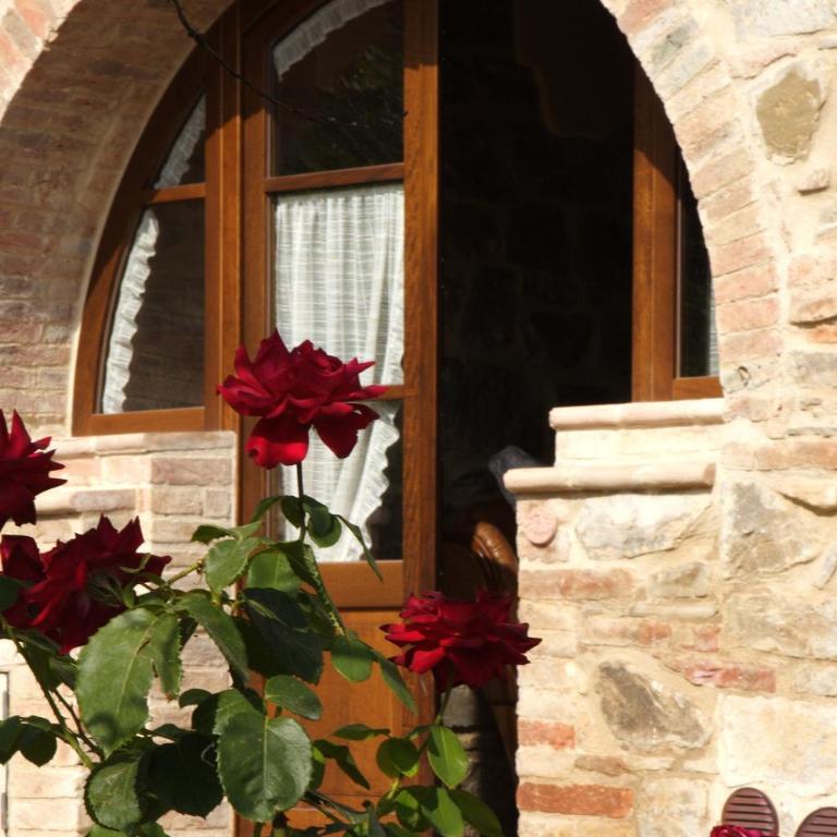 Azienda Agraria La Casella - One-Bedroom Apartment - 10
