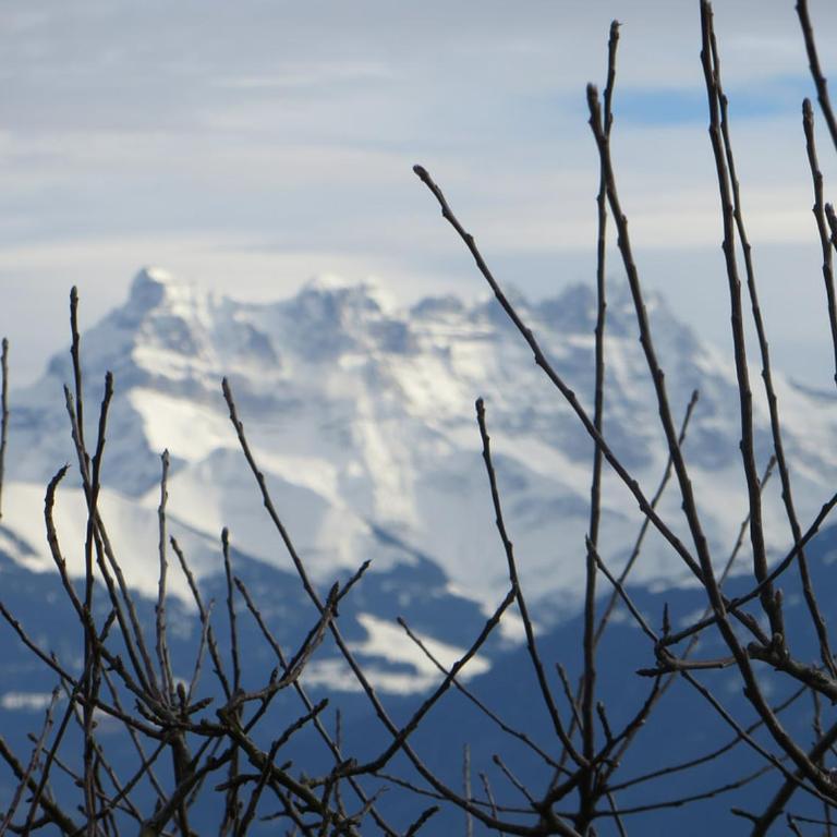 Maison familiale à Montreux avec vue sur le lac - Haus mit 4 Schlafzimmern - 39