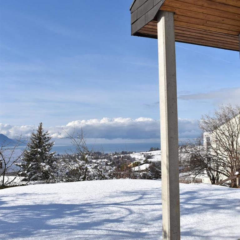 Maison familiale à Montreux avec vue sur le lac - Haus mit 4 Schlafzimmern - 44