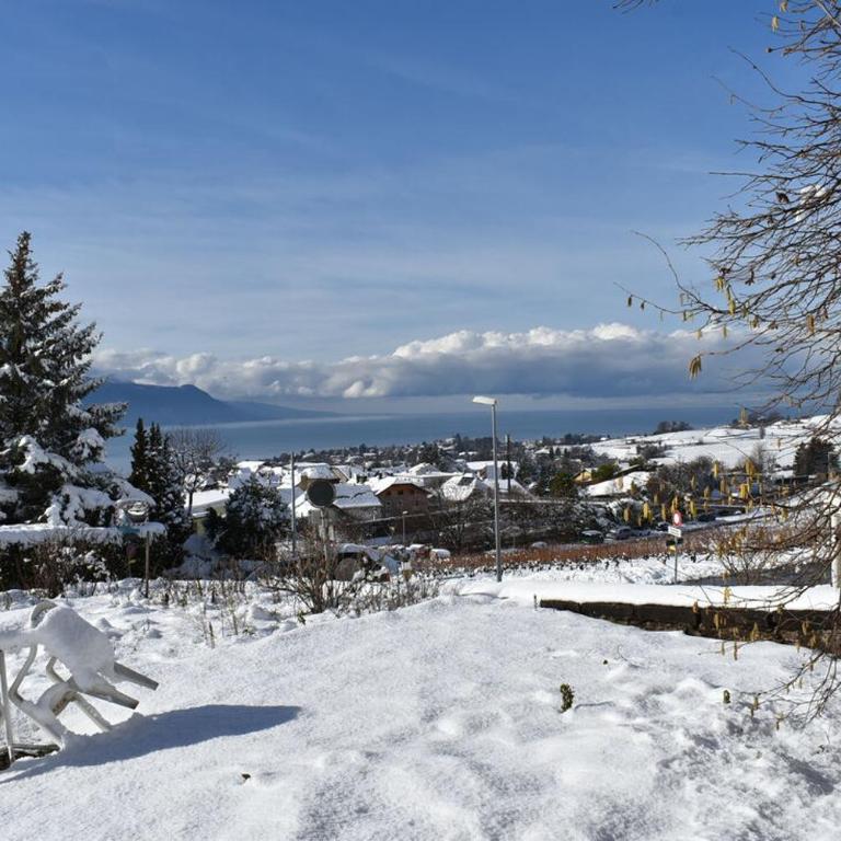 Maison familiale à Montreux avec vue sur le lac - Haus mit 4 Schlafzimmern - 43