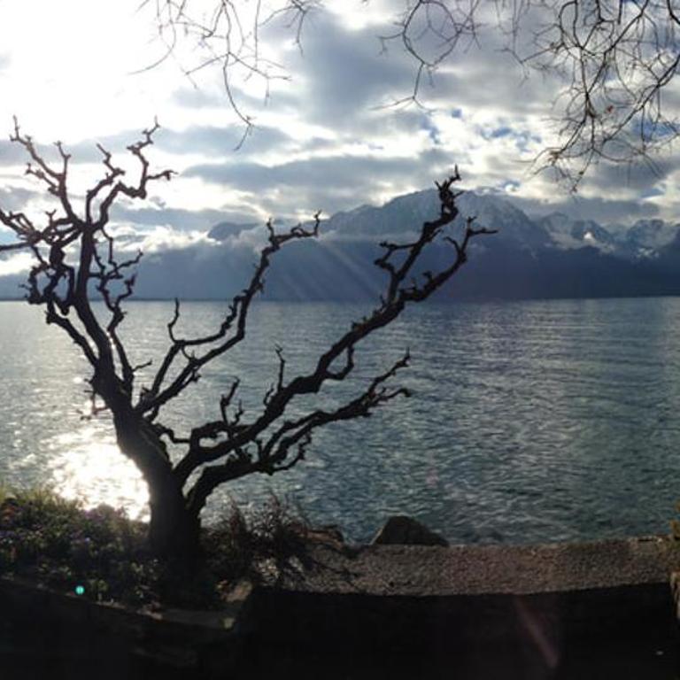 Maison familiale à Montreux avec vue sur le lac - Haus mit 4 Schlafzimmern - 31