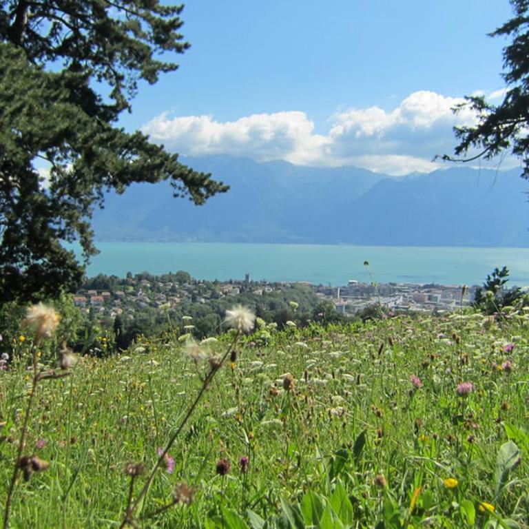 Maison familiale à Montreux avec vue sur le lac - Haus mit 4 Schlafzimmern - 35