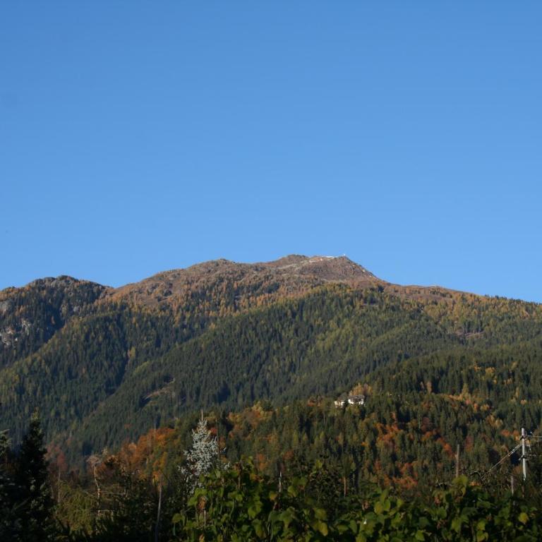 Garten- & Loggia-Appartement HERRENHAUS - Apartment mit Blick auf die Berge - 7