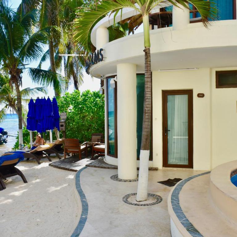 Playa Palms Beach Hotel - Superior Apartment - 1