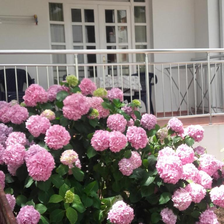 Guest House Vila Bak - Deluks Apartman sa 2 Spavaće Sobe - Prizemlje - 11