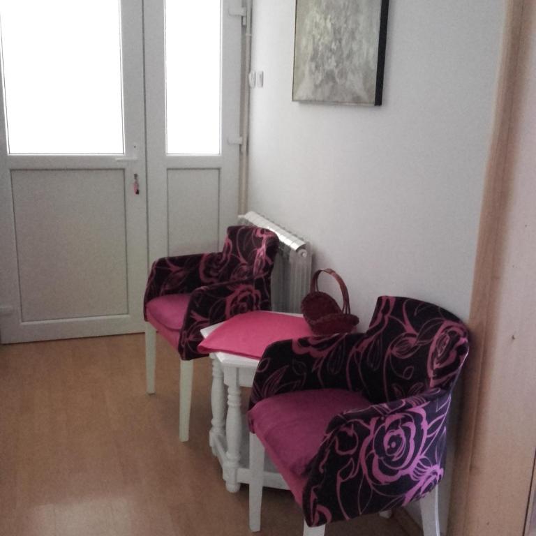 Guest House Vila Bak - Deluks Apartman sa 2 Spavaće Sobe - Prizemlje - 7