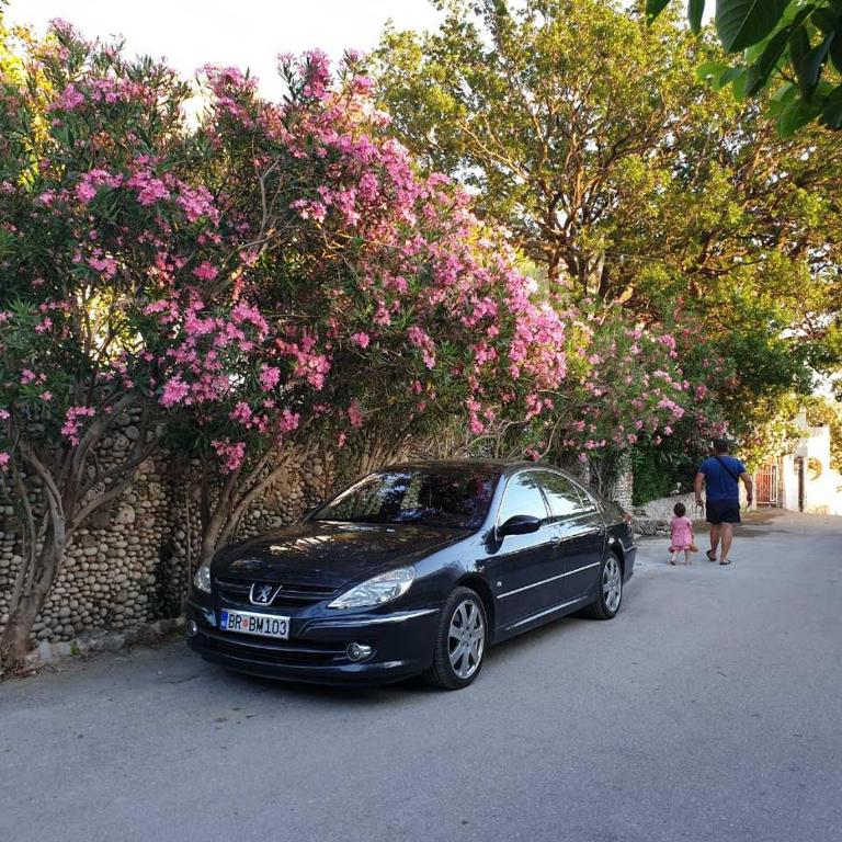 Villa Nadalina - Apartment with Sea View - 18