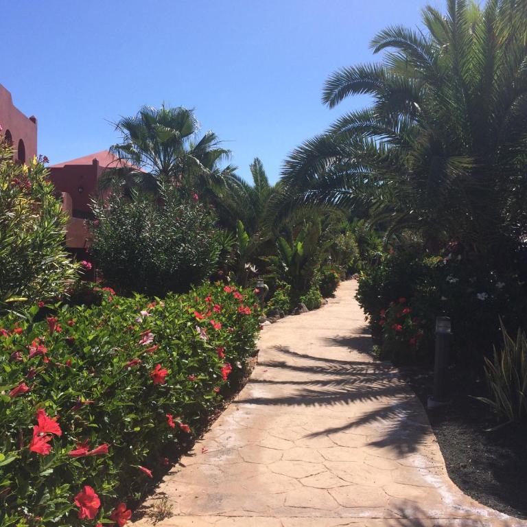 MY PRETTY HOME - Lovely and spacious surrounded by tropical gardens - private covered and uncovered terrace - pool - parking - FREE FIBRE OPTIC INTERNET - Apartamento con vistas a la piscina - 39