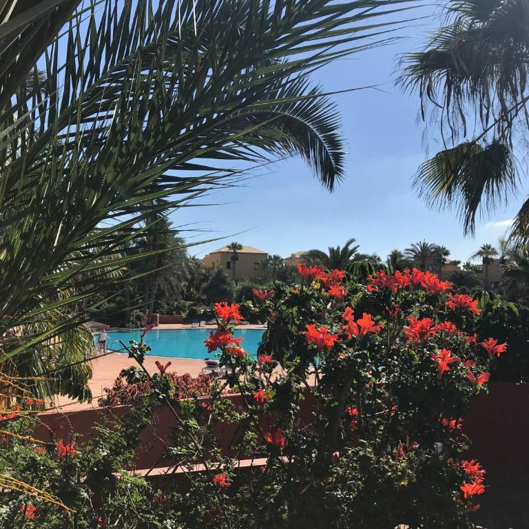 MY PRETTY HOME - Lovely and spacious surrounded by tropical gardens - private covered and uncovered terrace - pool - parking - FREE FIBRE OPTIC INTERNET - Apartamento con vistas a la piscina - 38