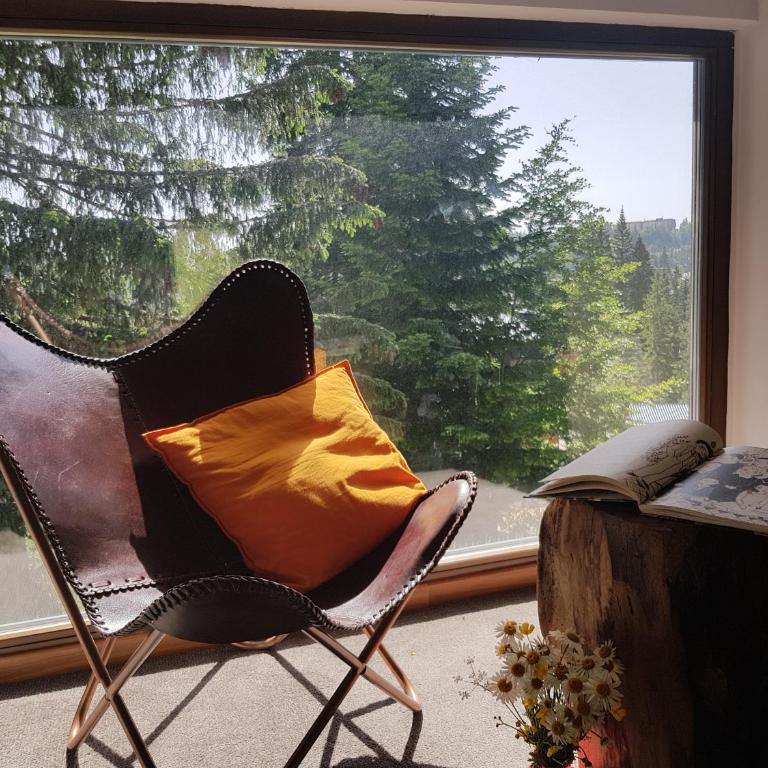Sunshine Dreams Villa Jahorina - Villa - 2