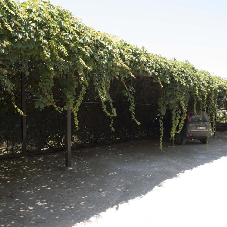 S.Giorgio Apartments - Apartment - Ground Floor - 27