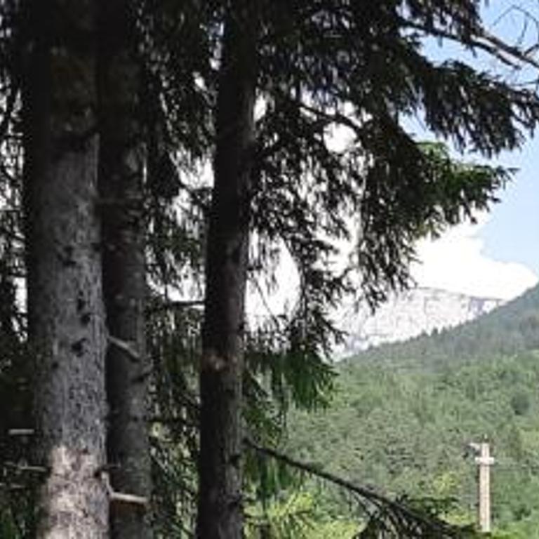 Chalet L' ADRET - Chalet 2 Chambres - 19