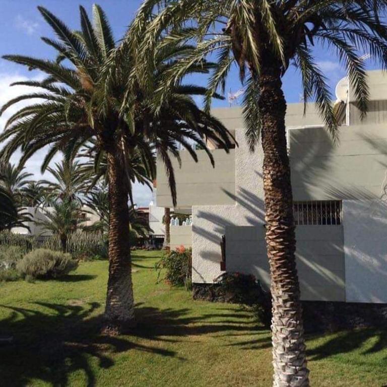 De Luxe Apartment South Tenerife - Apartamento Deluxe - 19