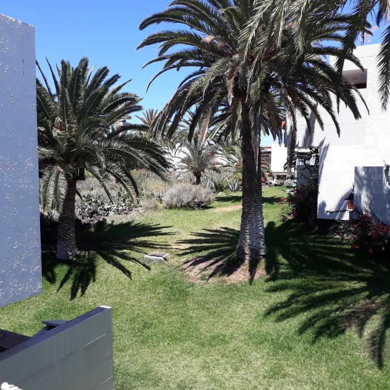 De Luxe Apartment South Tenerife - Apartamento Deluxe - 18