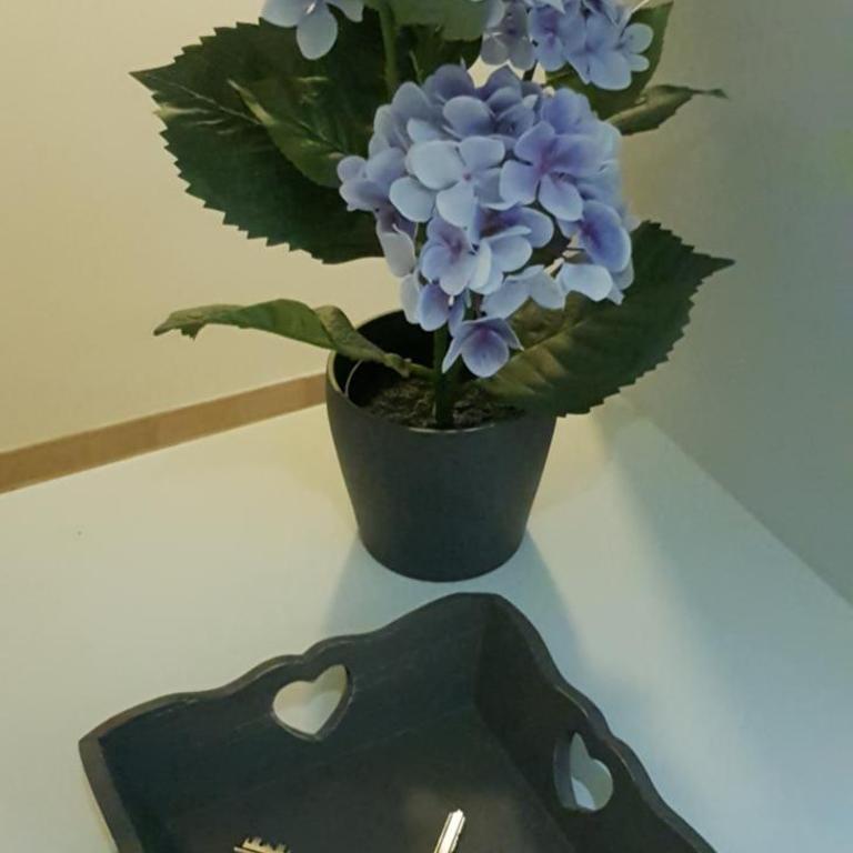 Campo de Fiori House - Appartamento - 23