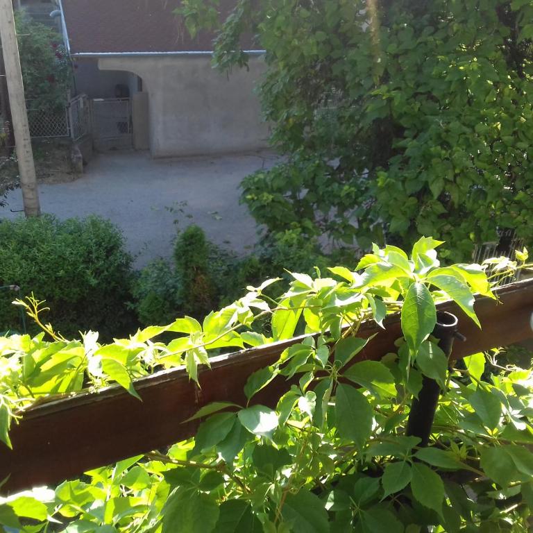 DUŠICA APARTMANI - Apartman sa 1 Spavaćom Sobom - 4