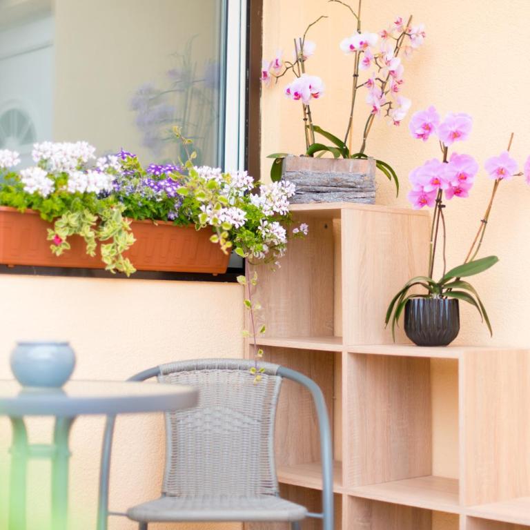 Ferienwohnungen und Zimmer Yassi - Appartement 2 Chambres - 2