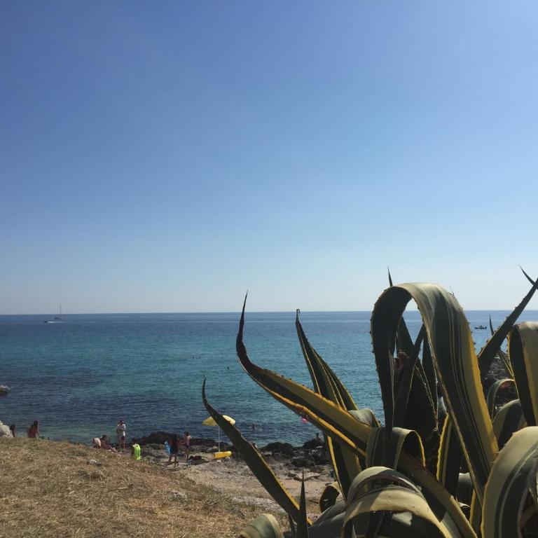 Tra Sole e Mare - Appartamento con 2 Camere da Letto - 20