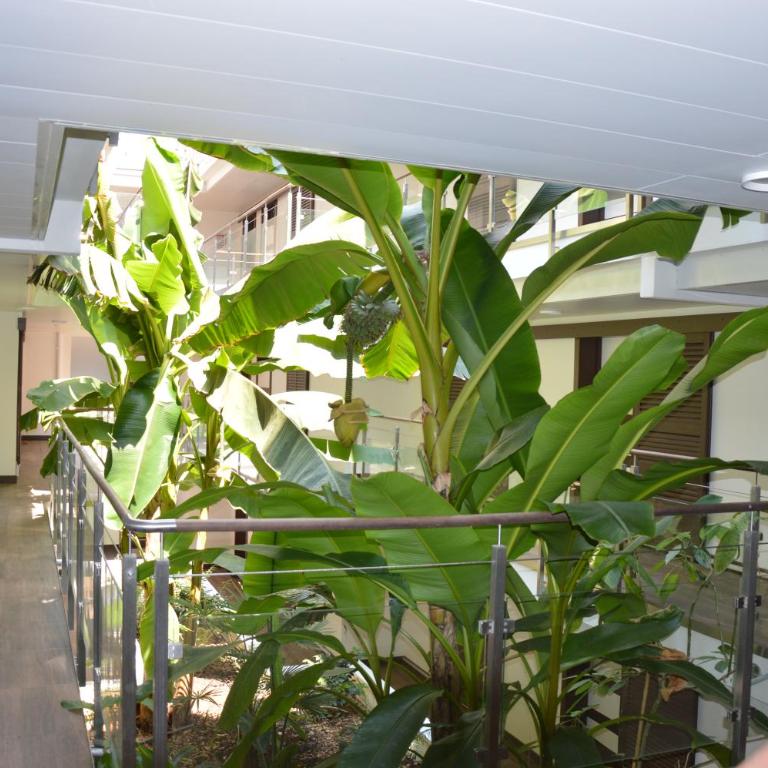 Studio ZenAzur - Appartement - 5
