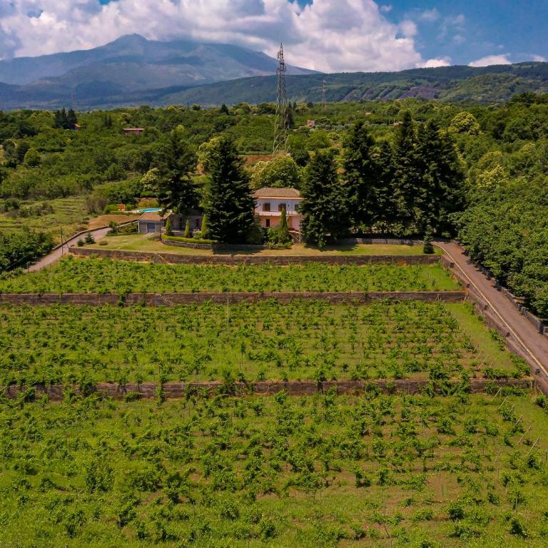 Le Vignoble Charming Maison - Villa con 3 Camere da Letto e Piscina Privata - 4