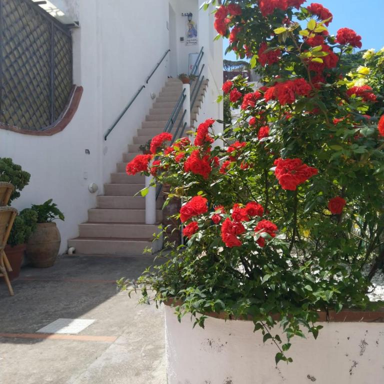 La Marocella - Casa a Schiera con 2 Camere da Letto - 6