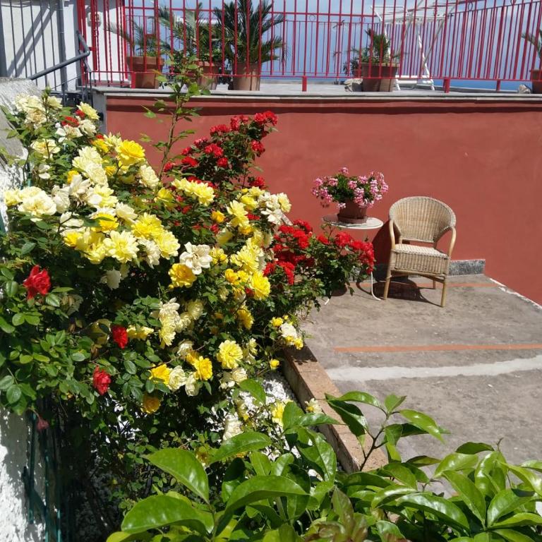 La Marocella - Casa a Schiera con 2 Camere da Letto - 7