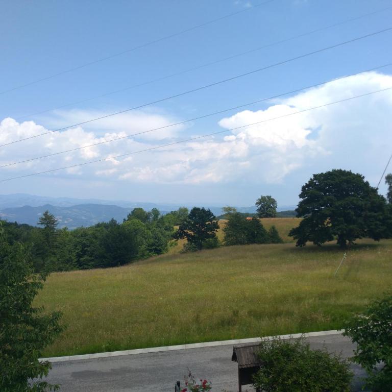Konak Pahulja TARA - Kuća sa 1 Spavaćom Sobom - 25
