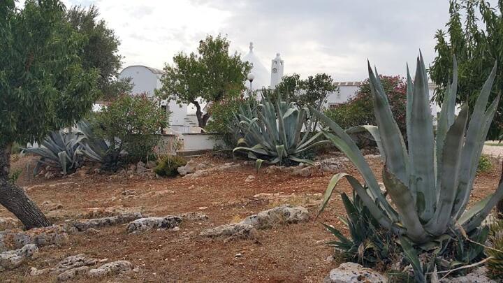 Trullo gioioso - Vacation Home - 18