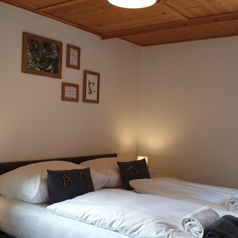 Alpen Ferienwohnungen Viehhofen near Saalbach & Zell am See - incl Sommercard - Apartment Alp 2 mit 3 Schlafzimmern - 6