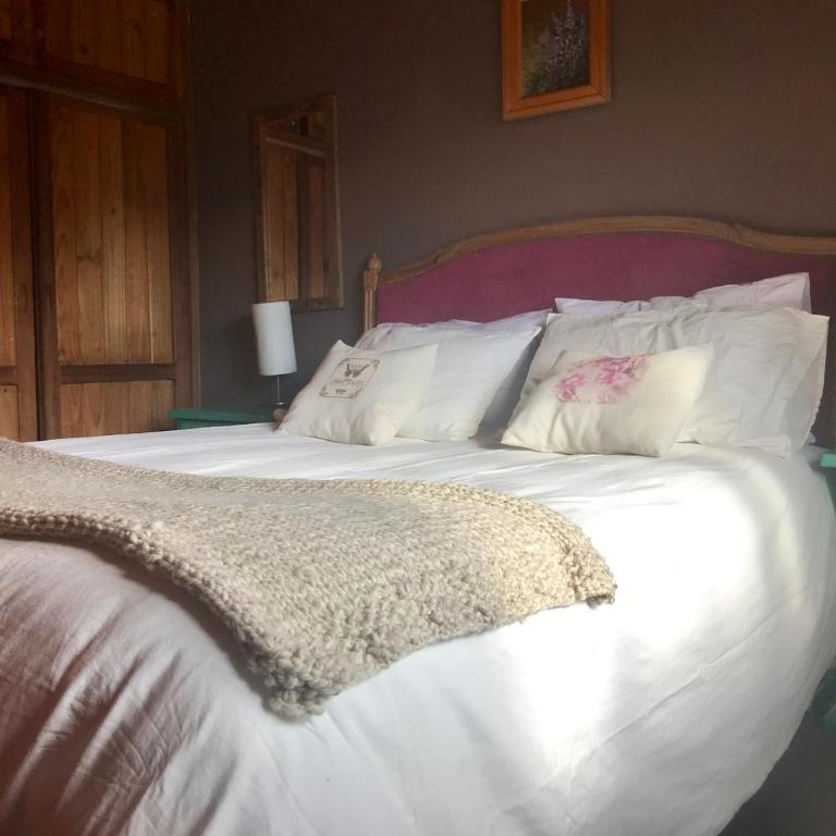 Casiopea - Apartamento de 2 dormitorios - 4