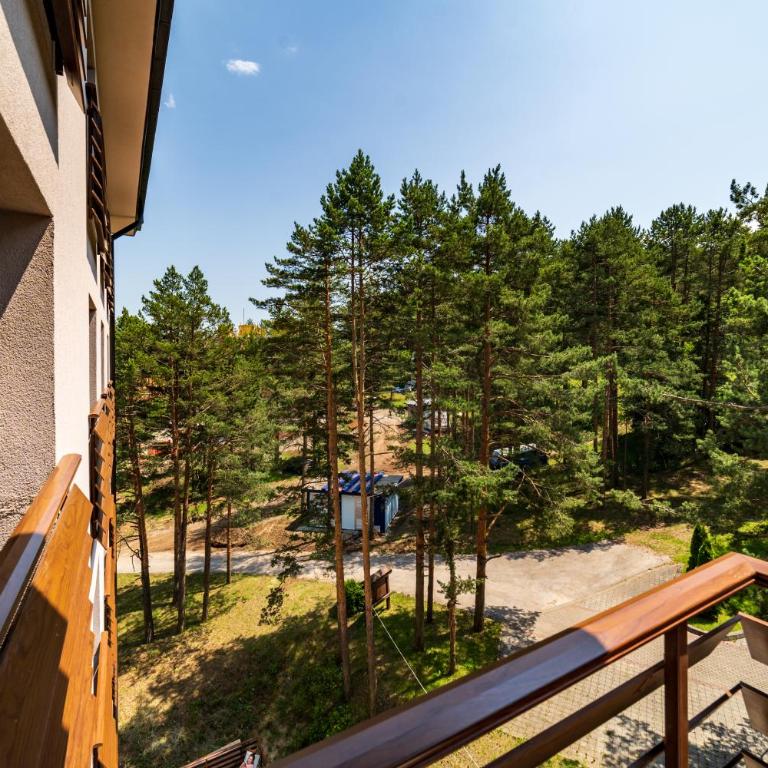 LUX apartman u vili Pekovic - Apartman - 12