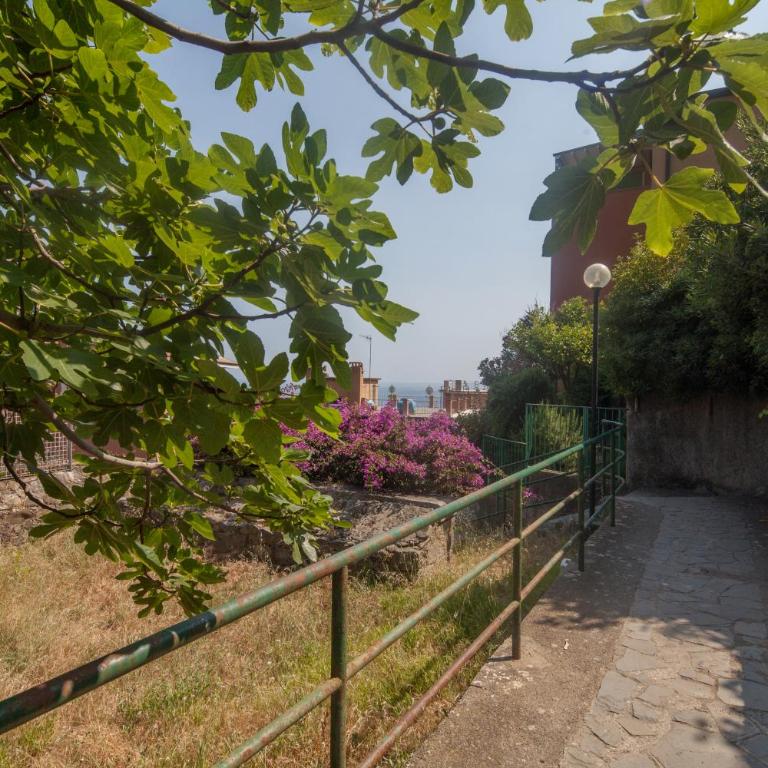Il Geco - One-Bedroom Apartment - 21