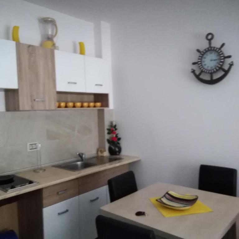 Vila Pekovic Apartman P8 - One-Bedroom Apartment - 19
