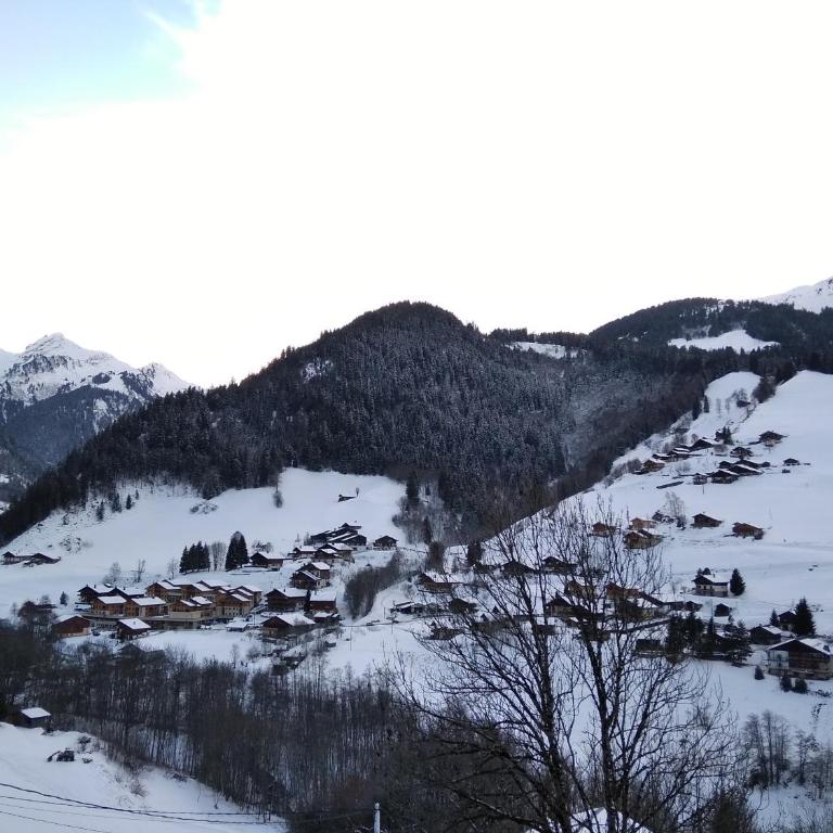 Appartement lumineux avec balcon à Arêches Beaufort - Appartement 2 Chambres - 20