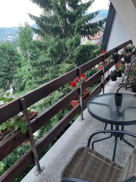 Guesthouse Hill - Dvokrevetna Soba sa Bračnim Krevetom/Zasebnim Krevetima i Terasom - 3