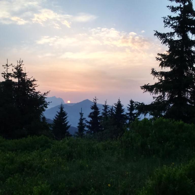 Silber Lodge im Wiesenstein - Apartamento con balcón - 10