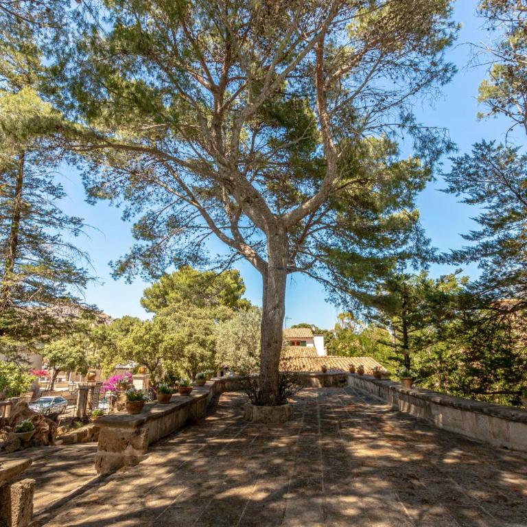 Villa Gran Voramar Cala - Casa de 6 dormitorios - 23