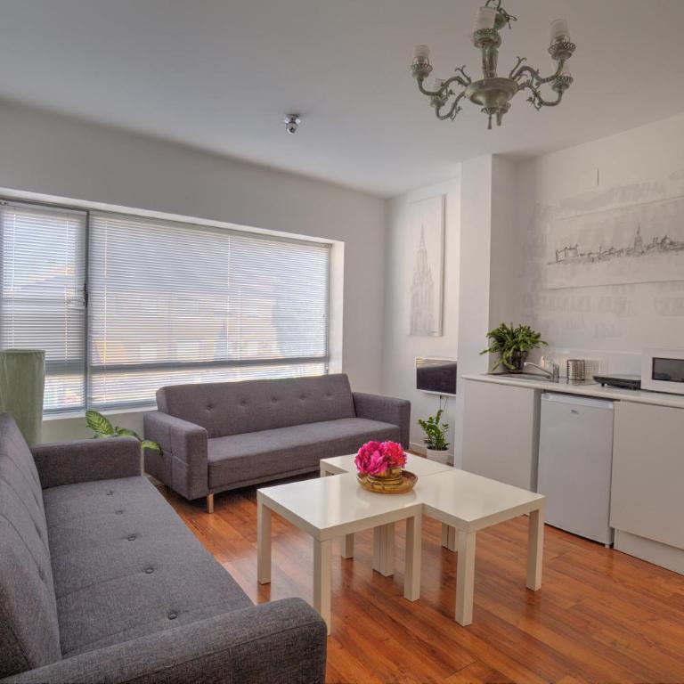 TOLETUM low cost LOFTS dúplex diáfanos o 2dormitorios PARKING Municipal Gratis al aire libre a 100m - Apartamento de 2 dormitorios - 4