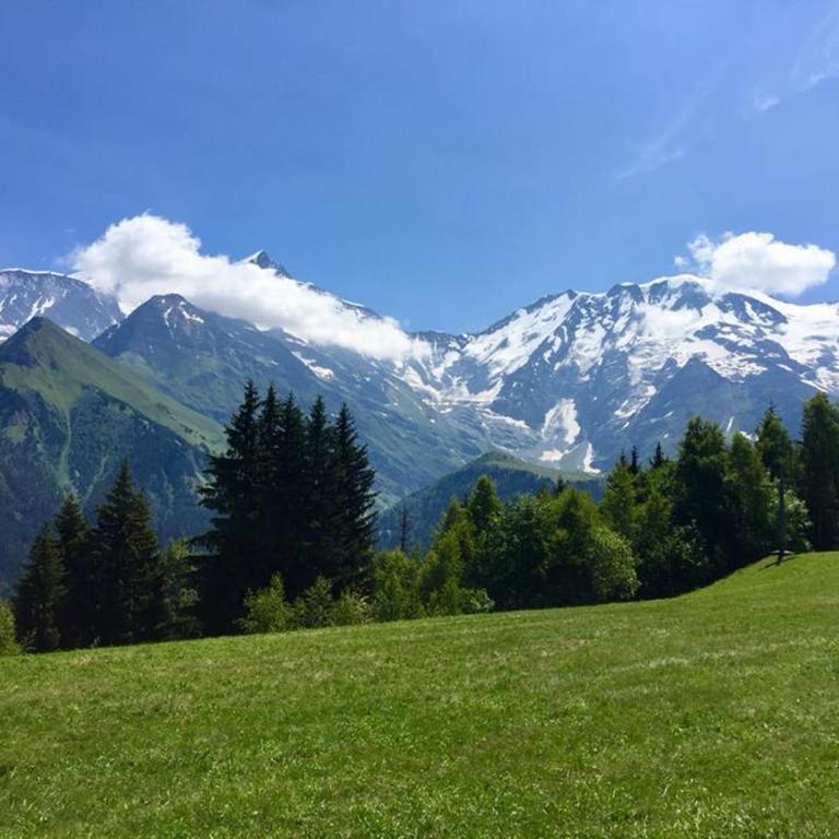 Appartement T2+cabine indépendante au départ des télécabines Saint-Gervais/Bettex/Mont d’Arbois - Apartment mit 2 Schlafzimmern - 31